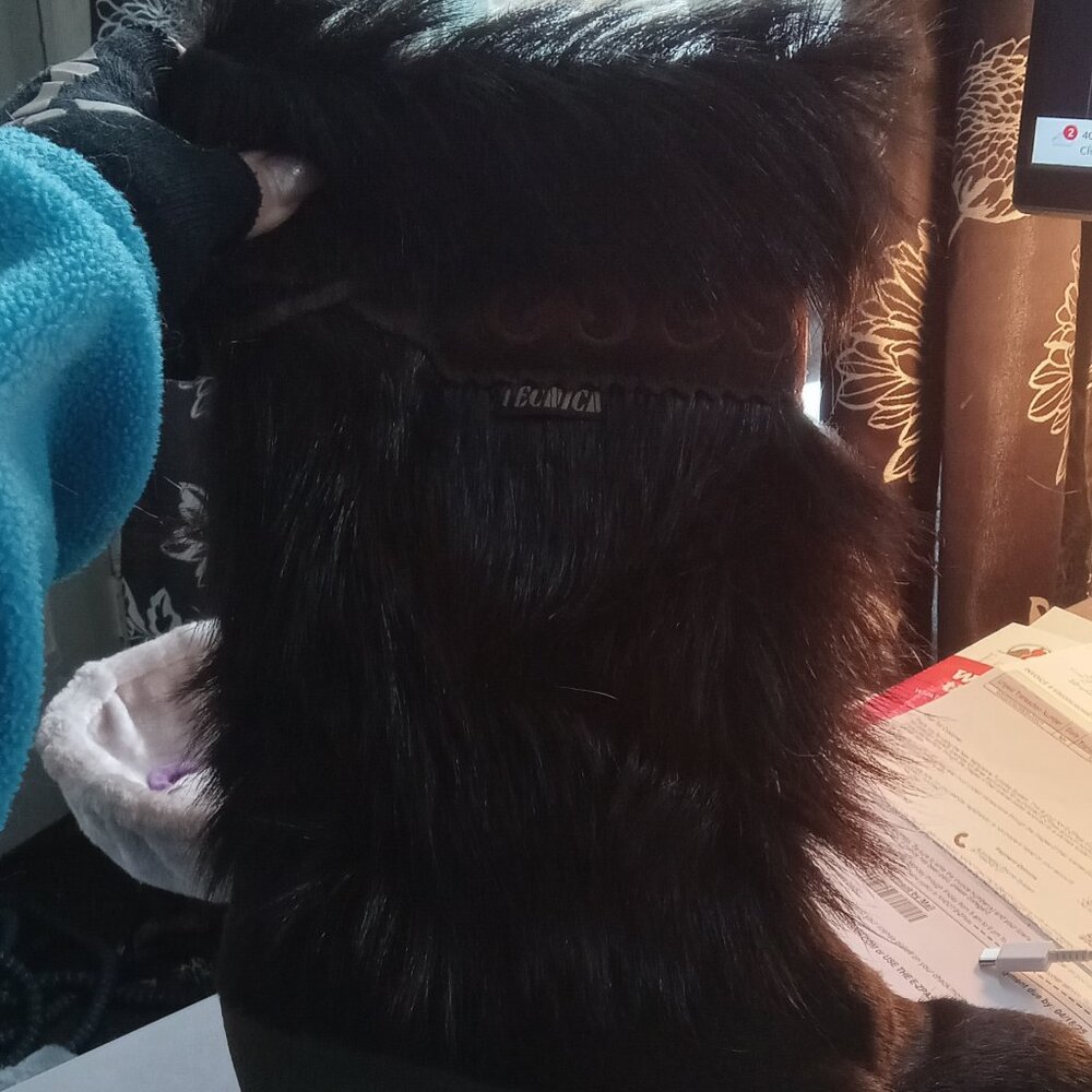 Tecnica fur boots